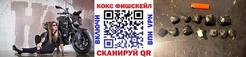 где купить наркоту  площадка состав  COCAIN 99%  Кедровый 