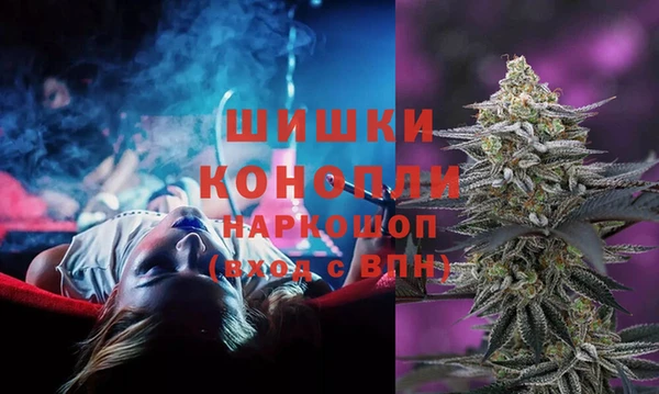 прущие грибы Абаза