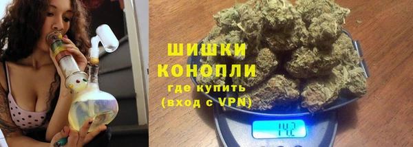 прущие грибы Абаза