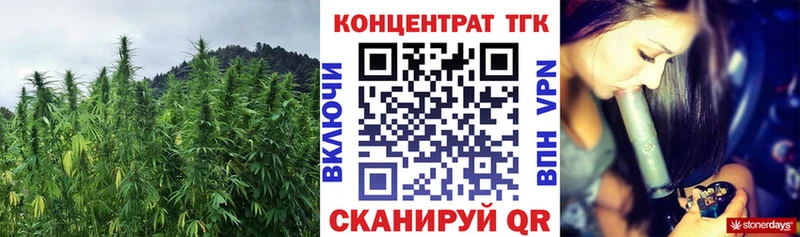 как найти наркотики  Кедровый  ТГК THC oil 