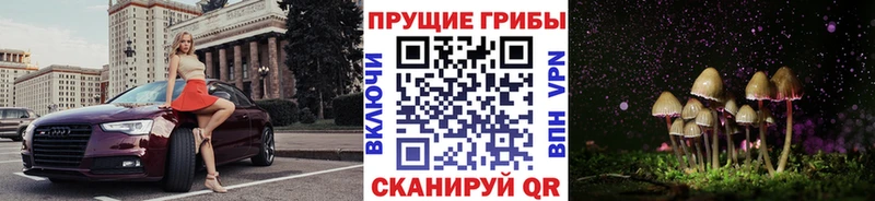 закладка Кедровый Галлюциногенные грибы мухоморы