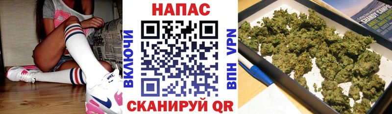 Бошки марихуана гибрид Кедровый
